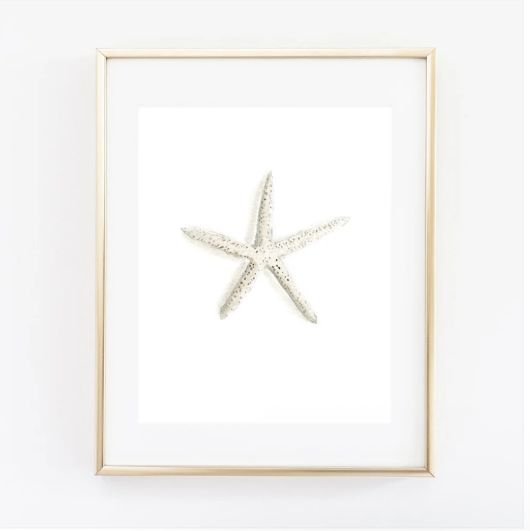 Starfish Art Print