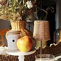 SEPTEMBER Candle of the Month - Apple Orchard