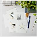 Seaside Assorted Notecard Set