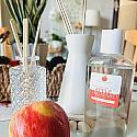 Seasonal Diffuser Kits