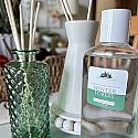Seasonal Diffuser Kits