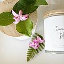 The RENEW + RELAX Soy Candle