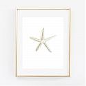 Starfish Art Print